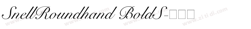 SnellRoundhand BoldS字体转换 SnellRoundhand BoldS字体转换